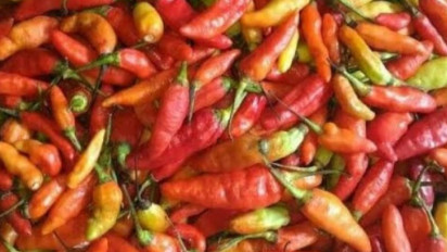 Bapanas: Harga Cabai Rawit Rp46.767/kg, Bawang Merah Rp47.100/kg