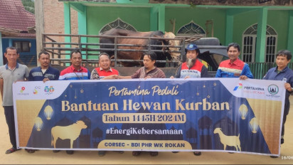 Berbagi di Hari Raya Iduladha, Pertamina Salurkan 4.493 Hewan Kurban