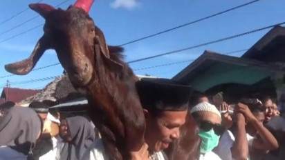 Unik! Tradisi Lawa Pipi Hewan Kurban Diarak Keliling Kampung Sebelum Disembelih