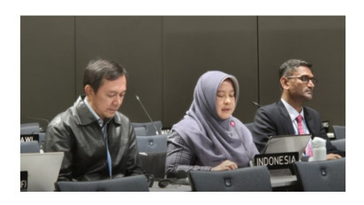 Sidang Subsidiary Body UNFCCC Ke-60: Perdagangan Karbon Luar Negeri Harus Dengan Otorisasi