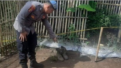 Heboh soal Ledakan Granat Nanas di Garut, Polisi Masih Lakukan Penyelidikan, Begini Kondisi Korban