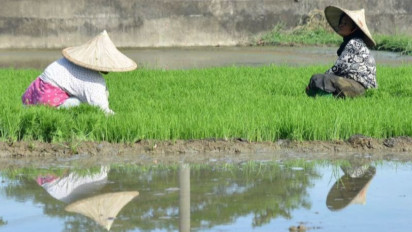 Pupuk Indonesia Pastikan Stok Pupuk Bersubsidi di Majalengka Aman