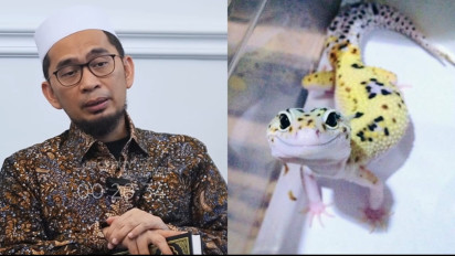 Tolong Jangan Diam saat Banyak Cicak di Rumah, Ustaz Adi Hidayat Ingatkan Perbanyak Istighfar karena Ada Tanda Buruk...