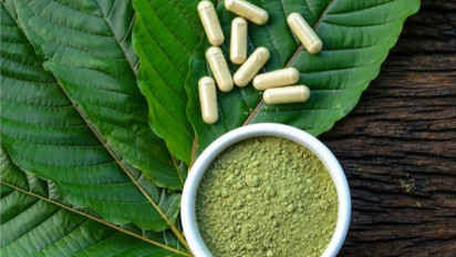 DPR RI Ingatkan Ini Soal Legalisasi Kratom