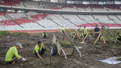 Kualitas Lapangan Dikritik Habis-habisan Setelah Digunakan Timnas Indonesia, Stadion GBK Akhirnya Rombak Total Rumput