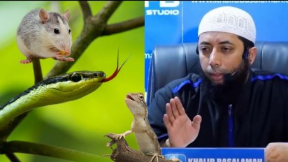 Tolong Waspada Jika Mimpi 7 Hewan Ini, Kata Ustaz Khalid Basalamah Hal Itu Bisa Jadi Pertanda Bahaya, Bahkan...