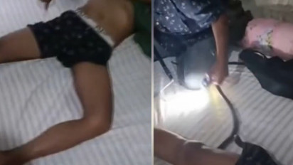 Viral Detik-detik Proses Evakuasi Ular Kobra dari Dalam Celana Dalam Seorang Pria saat Tertidur Pulas