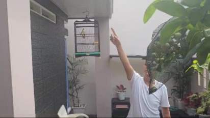 Maling Burung di Lampung Terekam CCTV, Diduga Pelaku Gasak Burung Milik Korban Sudah 3 Kali