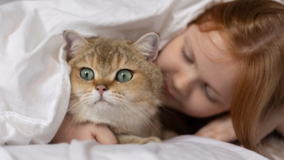 Auto Gemoy, 5 Merk Makanan Kucing Ini Dapat Menggemukkan dan Melebatkan Bulu Anabul dengan Cepat