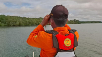 Seorang Pria Diduga Diterkam Buaya di Balikpapan, Basarnas Masih Lakukan Pencarian