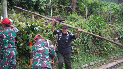 Pemkab Bogor Bersihkan Puing Bekas Lapak PKL di Puncak
