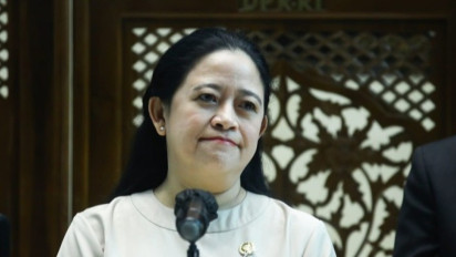 Puan Minta MKD Umumkan Nama Anggota DPR yang Main Judi Online