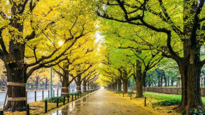 Liburan Anti-mainstream! Coba 5 Wisata Unik dan Tak Biasa di Korea Selatan Ini, Ada Tempat Bersejarah hingga Horor