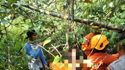 Tim SAR Temui Pria Hilang di Perkebunan Riau, Kondisinya Mengenaskan