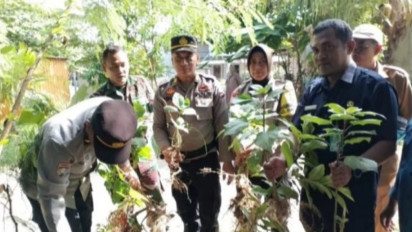Buntut 50 Orang Mabuk Kecubung, Polres Banjarbaru Musnahkan Tanaman Kecubung