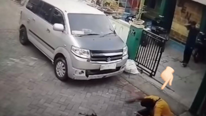 Geger di Medsos Aksi Penembakan Kucing di Semarang, Polisi Lakukan Penyelidikan