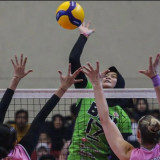 Resmi! Daftar Peserta Proliga 2025, Tim Unggulan Jakarta BIN dan Pertamina Absen