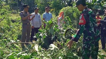 Pil Putih Tanpa Merek Jadi Penyebab Puluhan Orang di Kalimantan Selatan Mabuk Kecubung