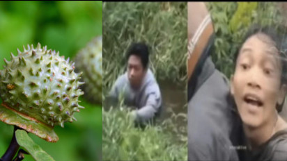 Fenomena Mabuk Efek Makan Kecubung di Kalimantan Selatan, Ini Pandangan Praktisi Kesehatan dan Islam, Kata Ustaz Adi Hidayat Perilaku Munkar