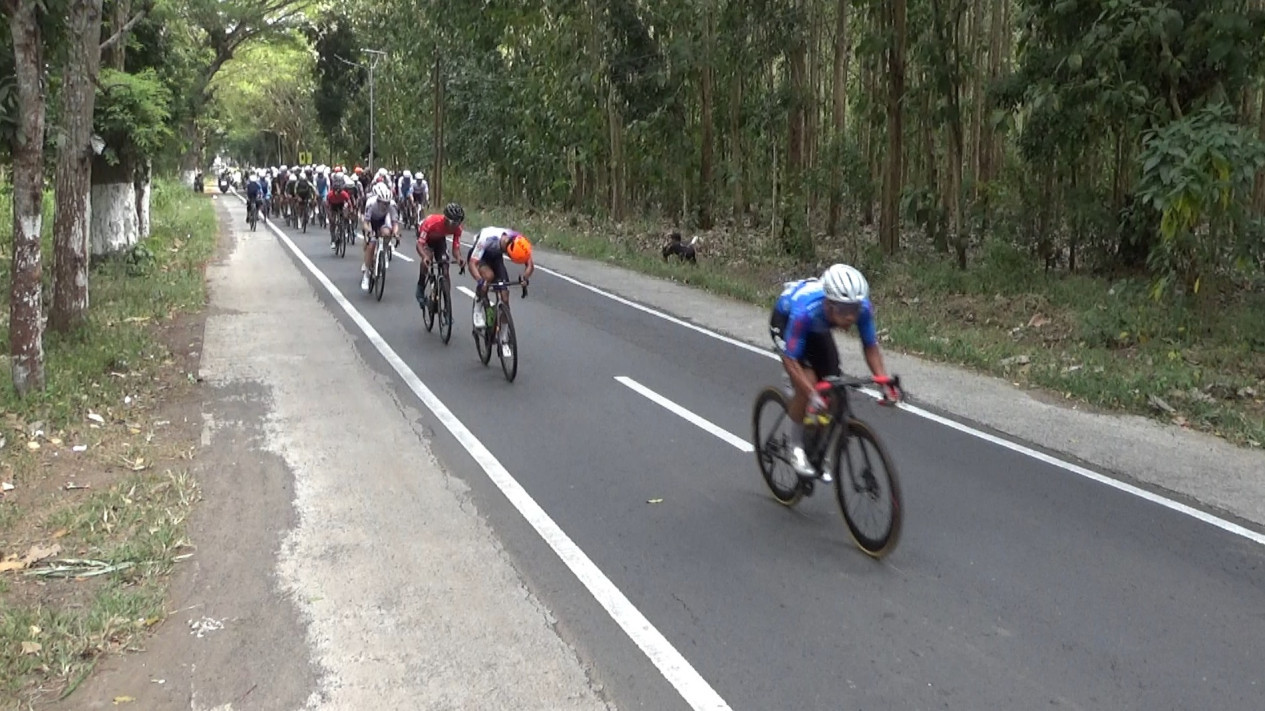 Bersarung di TdBI 2024, Bupati Banyuwangi Lepas 99 Pembalap dari 20 Tim
            - galeri foto