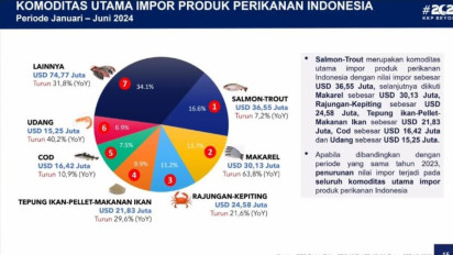 Nilai Impor Produk Perikanan RI Menurun, KKP Sebut Ini Kabar Bagus: Bisa Dimanfaatkan