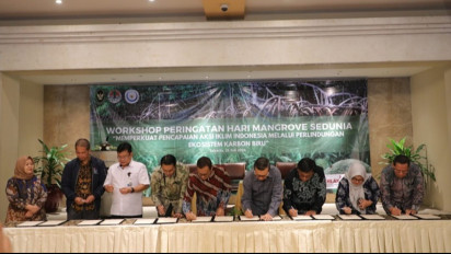 Pelindo Dukung Mitigasi Perubahan Iklim Lewat Perlindungan Ekosistem Karbon Biru
