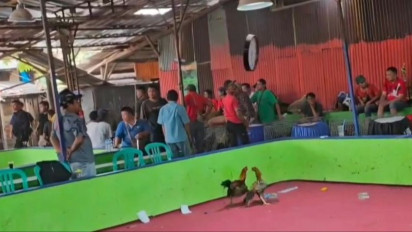 Kasus Judi Sabung Ayam di Bekasi, Polisi Tetapkan 58 Orang Jadi Tersangka