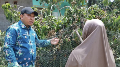 400 KK di Siak Tanam 2 Pohon Kelengkeng Itoh