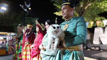 Unik, Kucing-kucing Cantik dan Lucu Ikut Fashion Show di F8 Makassar