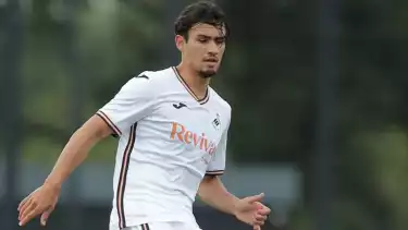 Nathan Tjoe-A-On di Swansea City