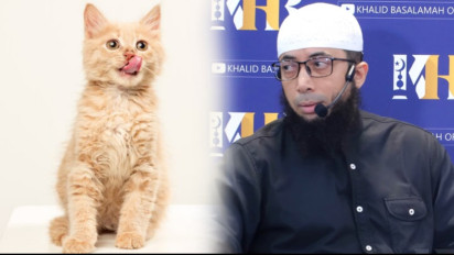 Mulai Sekarang Keluarkan Kucing dari dalam Rumah, Meski Menggemaskan Ustaz Khalid Basalamah Ingatkan Bahaya Ini