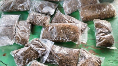 Personel Gabungan Gagalkan Selundupan Ganja Siap Edar di Perbatasan Skouw