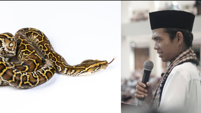 Mulai Sekarang Pertimbangkan Kembali Kalau Hobi Koleksi Reptil Kaya Ular Piton, Ustaz Abdul Somad Sebut Haram Berdasarkan...