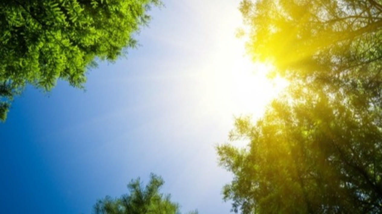 Al-Qur’an dan Hadis Tentang Cuaca Panas
            - galeri foto