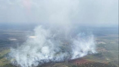 Musim Kemarau, Hotspot Karhutla di Sumsel Capai 395 Titik