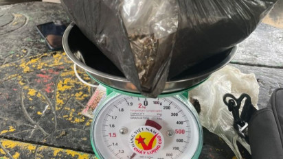 Bea Cukai Sebut Perbatasan RI-PNG Rawan Penyelundupan Ganja, Pasokan Barang Haram Ini Ternyata Banyak Diimpor dari Papua Nugini