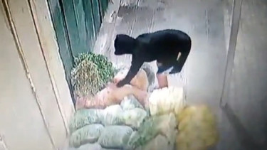 Harga Caba Melejit, Maling Cabai Merajalela di Pasar Comal Pemalang