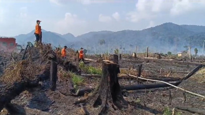 Lebih dari 12 Hektare Hutan di Kawasan TNBT Jambi Hangus Terbakar