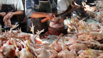 Harga Daging Ayam Turun Selama 2 Bulan, Kini Berpeluang Naik di Bulan Agustus
