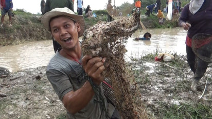 Keseruan Tradisi Bekarang di Desa Pasar Terusan Jambi, Ribuan Warga Buru Ikan di Sawah Angker
