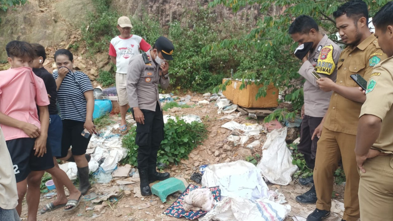Geger, Mayat Bayi Ditemukan di Tempat Pembuangan Sampah di Konawe, Polisi Selidiki
            - galeri foto