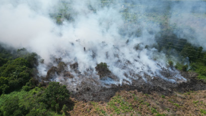 Api Sulit Dikendalikan, Karhutla Mulai Menggila di Kotim