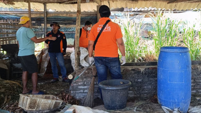 Geger, Sejumlah Sapi Milik Peternak Gunungpati Semarang Mati Tak Wajar