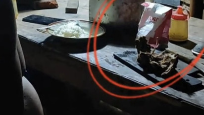 Bapak Kos di Semarang Blak-blakan Sebut Daging Kucing Rasanya Enak, Satu Ekor Bisa Habis Tiga Hari