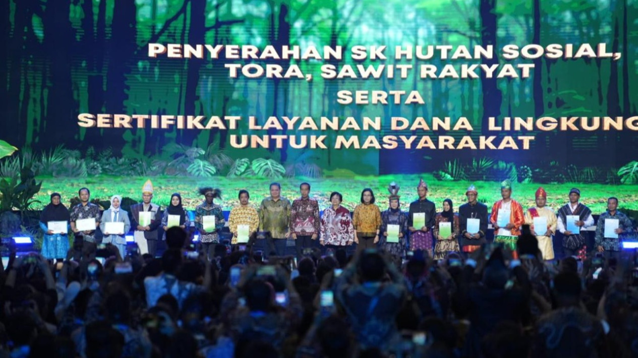 Dana PSR untuk Pekebun Sawit Rakyat Naik 2 Kali Lipat jadi Rp60 Juta per Ha, Menko Airlangga ungkap Realisasinya Capai Rp9,6 Triliun
            - galeri foto