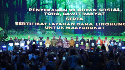 Dana PSR untuk Pekebun Sawit Rakyat Naik 2 Kali Lipat jadi Rp60 Juta per Ha, Menko Airlangga ungkap Realisasinya Capai Rp9,6 Triliun