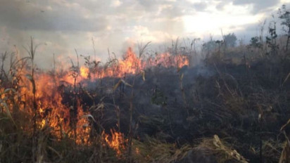 Polisi Selidiki Penyebab Kebakaran Hutan di Lombok Timur