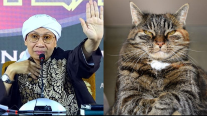 Tolong Jangan Sembarangan Menggendong Kucing, Meski Menggemaskan Kata Buya Yahya Harus Tahu karena Ada Tanda...
