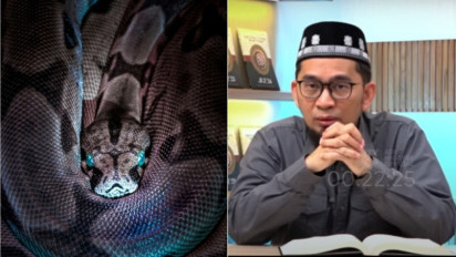 Tolong saat Ular Diam-diam Masuk Rumah Sebaiknya Jangan Dibunuh Dulu, Meski Mengagetkan dan Bahaya Kata Ustaz Adi Hidayat...