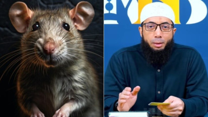 Tolong saat Mimpi Digigit Tikus Perbanyak Istighfar, Jika Selalu Masuk Rumah Ada Tanda ini Kata Ustaz Khalid Basalamah